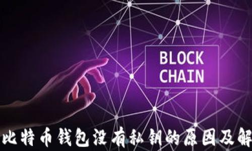 
TP钱包比特币钱包没有私钥的原因及解决方案