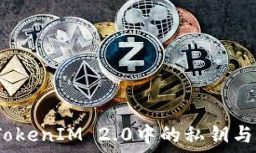 
深入浅出：TokenIM 2.0中的私钥与账号的关系