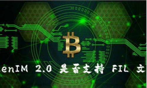 TokenIM 2.0 是否支持 FIL 文件？