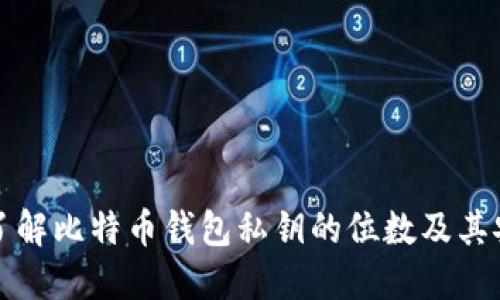 深入了解比特币钱包私钥的位数及其安全性