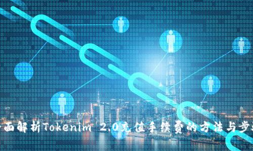 全面解析Tokenim 2.0充值手续费的方法与步骤