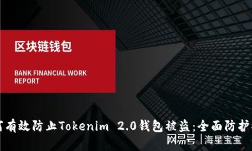 如何有效防止Tokenim 2.0钱包被盗：全面防护指南