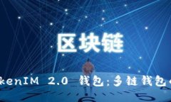 探索 TokenIM 2.0 钱包：多链