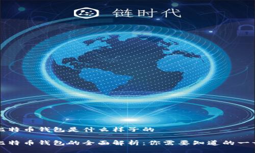 比特币钱包是什么样子的

比特币钱包的全面解析：你需要知道的一切