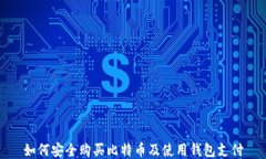 如何安全购买比特币及使用钱包支付