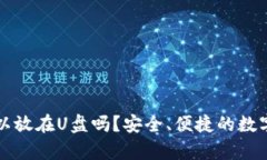 比特币钱包可以放在U盘吗？安全、便捷的数字货