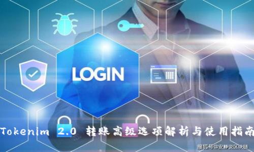 Tokenim 2.0 转账高级选项解析与使用指南