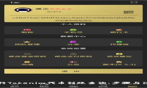 如何进行Tokenim代币到账查询：步骤与注意事项