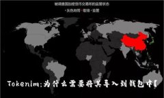 Tokenim：为什么需要将其导