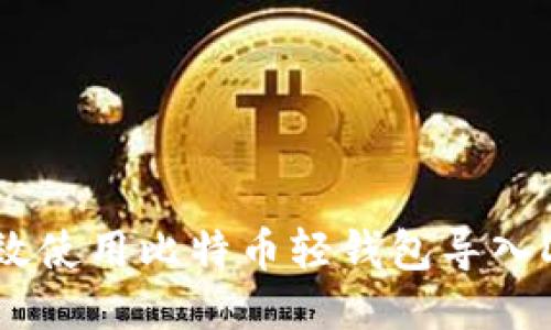 如何高效使用比特币轻钱包导入DAT文件