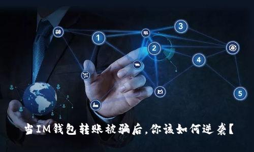 当IM钱包转账被骗后，你该如何逆袭？