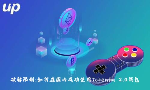 破解限制：如何在国内成功使用Tokenim 2.0钱包