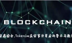 留存安全，Tokenim盗窃事件