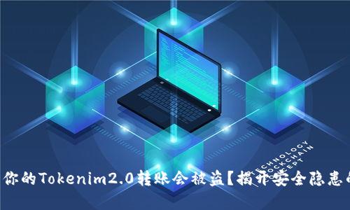 为什么你的Tokenim2.0转账会被盗？揭开安全隐患的真相！