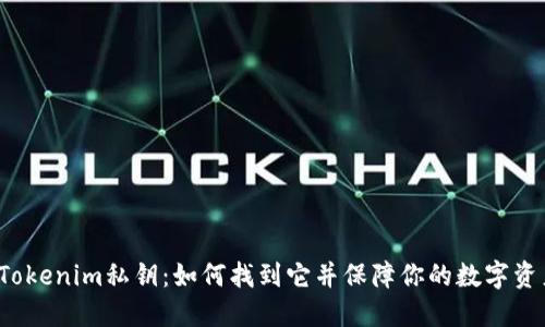 失落的Tokenim私钥：如何找到它并保障你的数字资产安全？