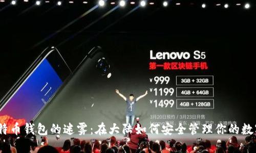 破解比特币钱包的迷雾：在大陆如何安全管理你的数字资产？