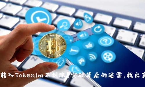 ETH转入Tokenim不到账？突破背后的迷雾，找出真相！