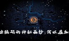 揭开比特币钱包地址编码