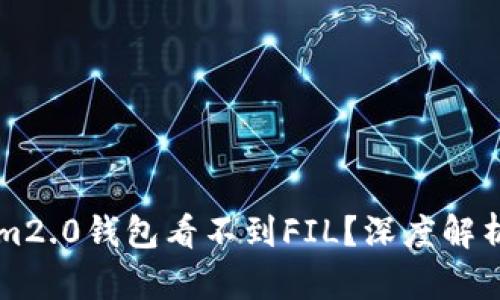 为何Tokenim2.0钱包看不到FIL？深度解析与解决方案