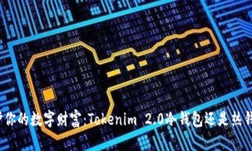 保护你的数字财富：Tokenim 2.0冷钱包还是热钱包？