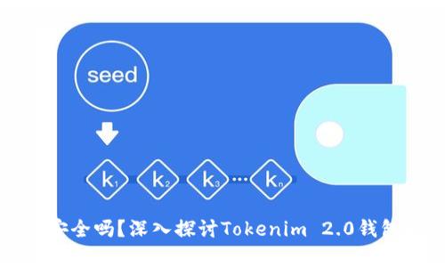 你的数字财富安全吗？深入探讨Tokenim 2.0钱包的安全性挑战