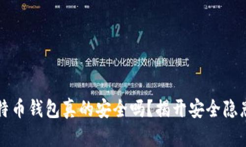 你的比特币钱包真的安全吗？揭开安全隐患的真相