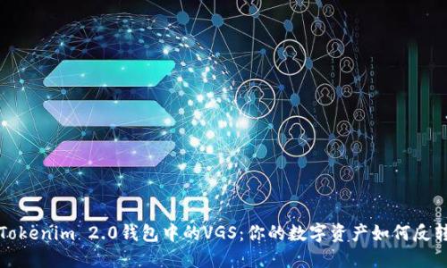 解锁Tokenim 2.0钱包中的VGS：你的数字资产如何反转局势