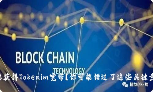 想要获得Tokenim宽带？你可能错过了这些关键步骤！