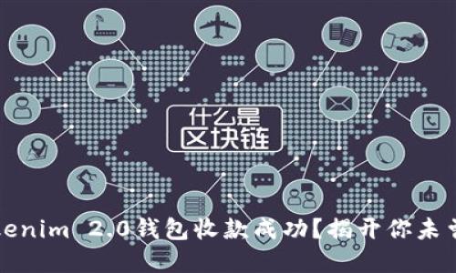 如何确保Tokenim 2.0钱包收款成功？揭开你未曾了解的秘密