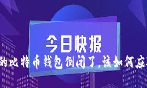 你的比特币钱包倒闭了，该如何应对？
