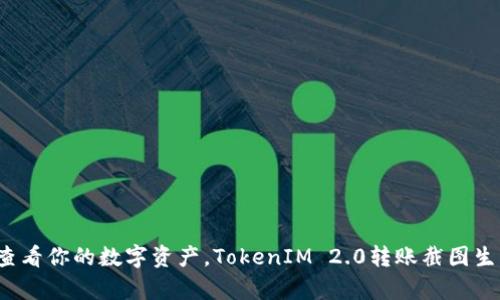 : 换个方式查看你的数字资产，TokenIM 2.0转账截图生成器的魔力！