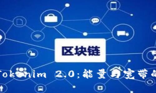 如何破解Tokenim 2.0：能量与宽带的双重挑战