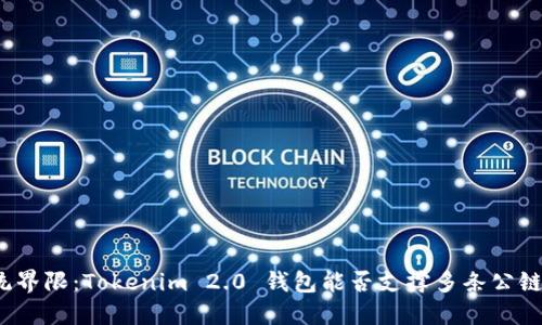 突破传统界限：Tokenim 2.0 钱包能否支撑多条公链的未来？