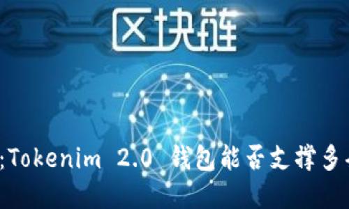 突破传统界限：Tokenim 2.0 钱包能否支撑多条公链的未来？