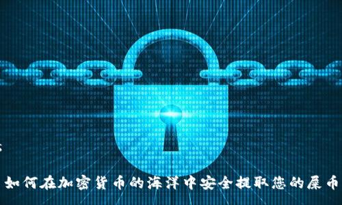 s

 如何在加密货币的海洋中安全提取您的屎币？