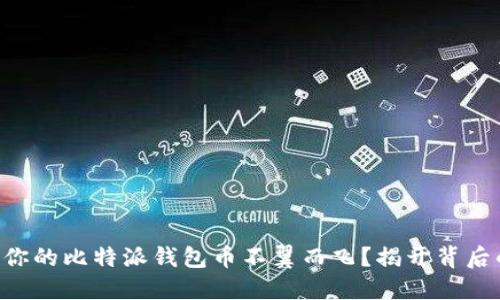 为什么你的比特派钱包币不翼而飞？揭开背后的秘密！