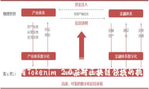 如何利用Tokenim 2.0应对区块链领域的挑战？