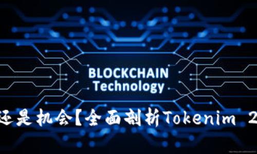 “国际钱包骗局还是机会？全面剖析Tokenim 2.5背后的真相！”