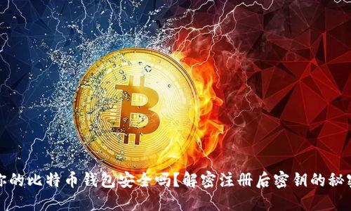 你的比特币钱包安全吗？解密注册后密钥的秘密