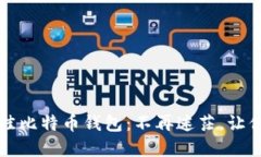 2020年最佳比特币钱包：不