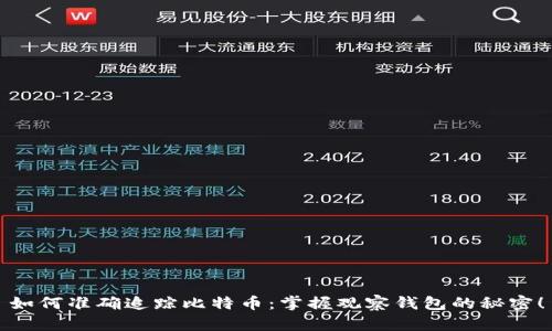 如何准确追踪比特币：掌握观察钱包的秘密！