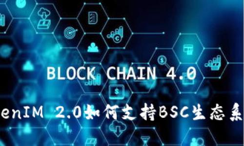 TokenIM 2.0如何支持BSC生态系统？