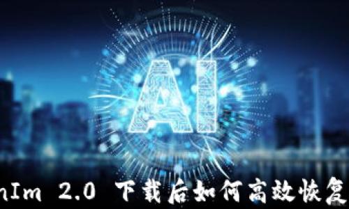 
TokenIm 2.0 下载后如何高效恢复数据！