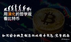 如何安全地复制您的比特