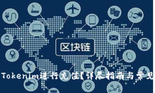 如何使用Tokenim进行充值？详尽指南与常见问题解答