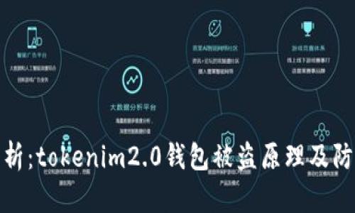 深入解析：tokenim2.0钱包被盗原理及防范措施
