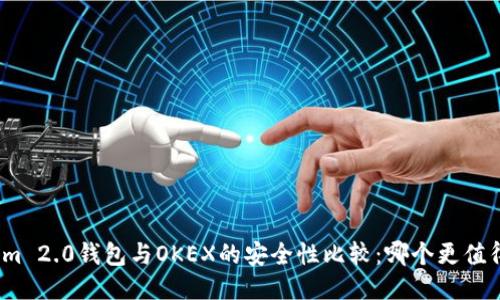 Tokenim 2.0钱包与OKEX的安全性比较：哪个更值得信赖？